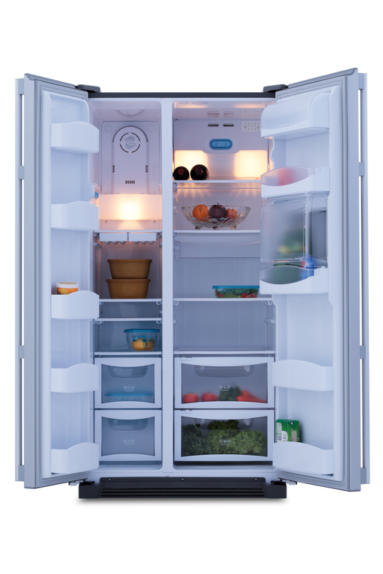 REFRIGERATOR – GE Appliances Philippines